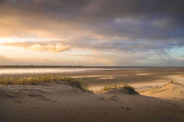 Nederlandse kust met hond