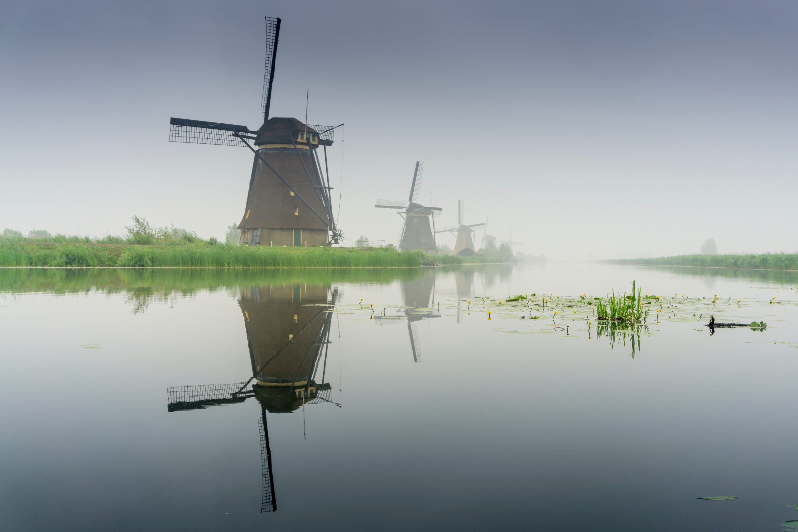 Nederland