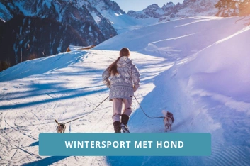 Vakantiehuis Wintersport hond