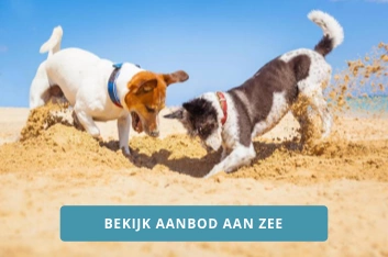 Vakantiehuis aan Zee met hond